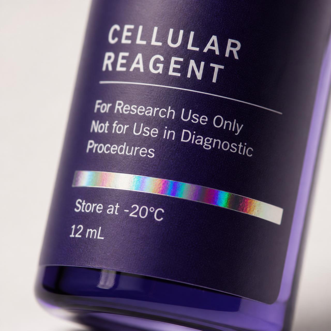 BPC-157 10mg — Label detail